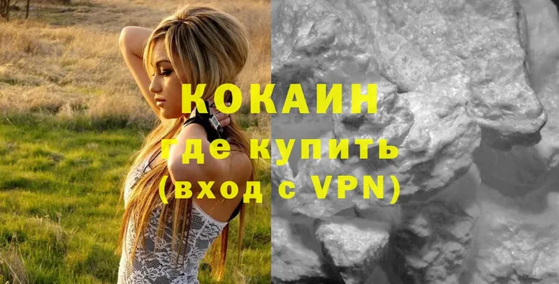 COCAIN Fish Scale  как найти наркотики  Вихоревка 